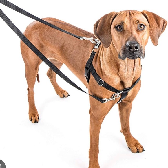 Brown Freedom No-Pull Dog Harness - Size Medium - Picture 2 of 12